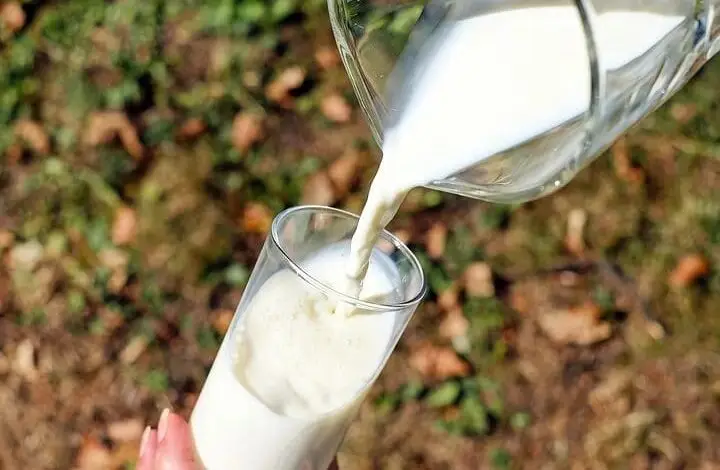 Jawaban Teka-teki Susu Dibalik Jadi Apa?