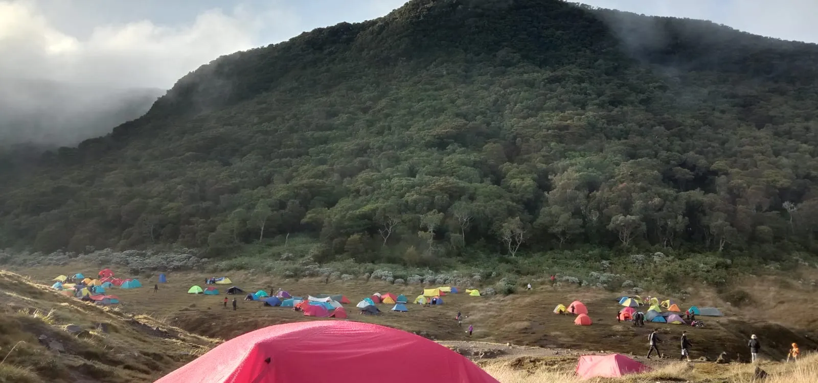 Kabar Baik! Gunung Gede Pangrango Kembali Dibuka, Utamakan Kebersihan dan Keselamatan