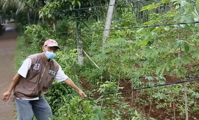 Kabel Listrik Menjuntai ke Tanah, Warga Desa Kertajaya Khawatir