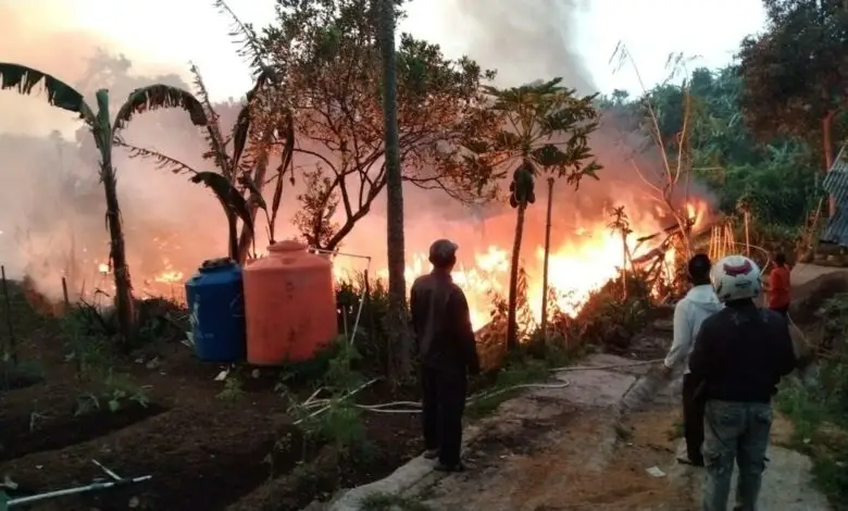 Kebakaran, Kandang dan Ribuan Anak Ayam di Cipanas Cianjur Hangus