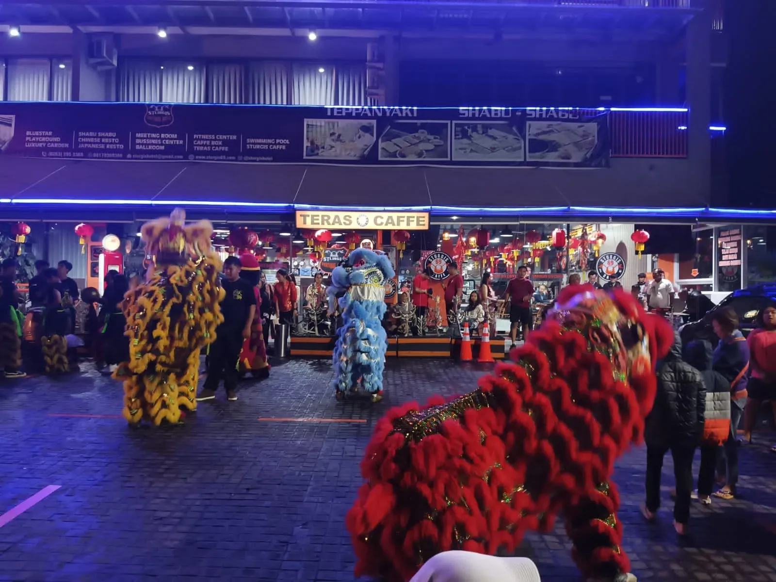 Keberuntungan Shio Ular Kayu 2025: Peluang Karier, Keuangan, dan Asmara!