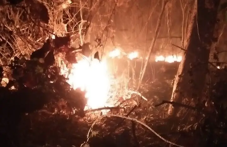 Kebun Jati di Mande Kebakaran, Pemadaman Dilakukan Manual