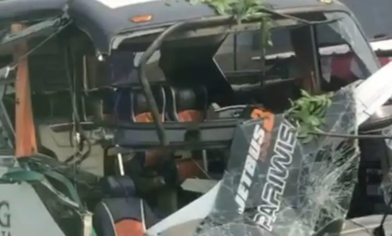 Kecelakaan, Bus Pariwisata Tabrak Pohon Hingga Tumbang di Sukaluyu