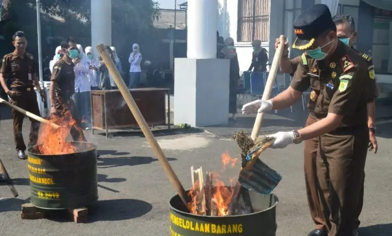 Kejari Cianjur Bakar Satu Kuintal Lebih Ganja Kering