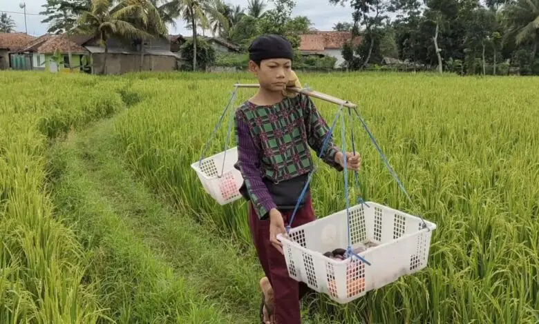 Kisah Bayu Jualan Keliling untuk Beli HP Karena Harus Belajar Daring