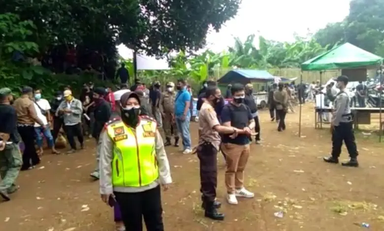 Kontes Ayam Pelung di Cugenang Dibubarkan