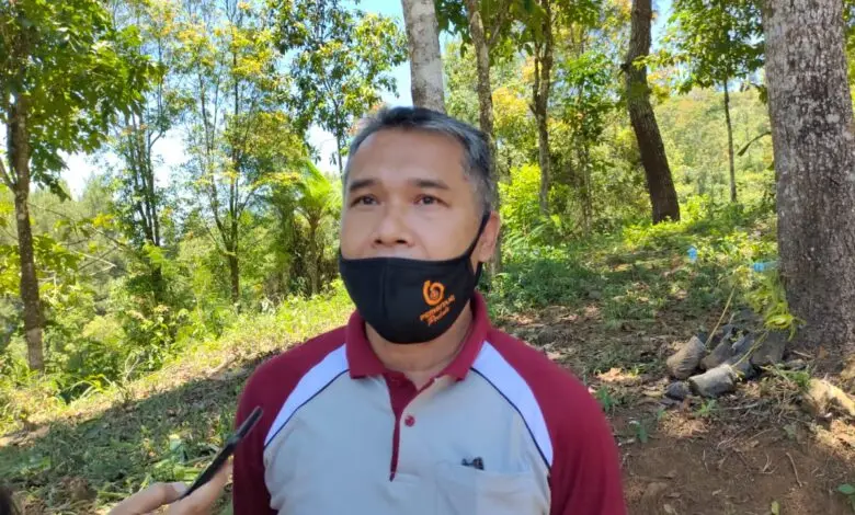 Krisis Hutan Lindung di Cianjur, Perhutani Siap Benahi