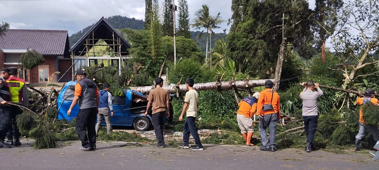 Kronologi Mobil Angkot Ringsek Tertimpa Pohon di Cipanas-Cianjur