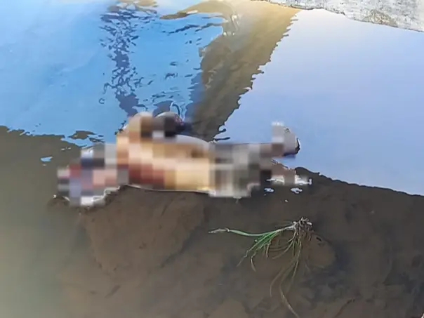 Lagi Mancing, Bocah Temukan Mayat Bayi di Cianjur Mengambang di Sungai
