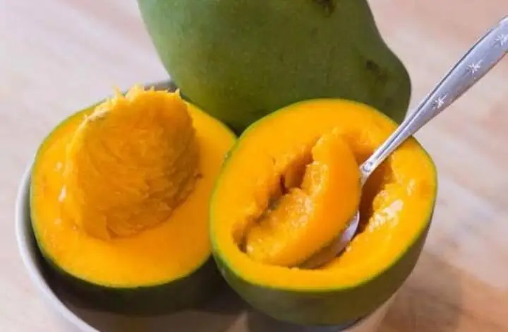 Lagi Viral, Ini Penjelasan Tentang Mangga Alpukat