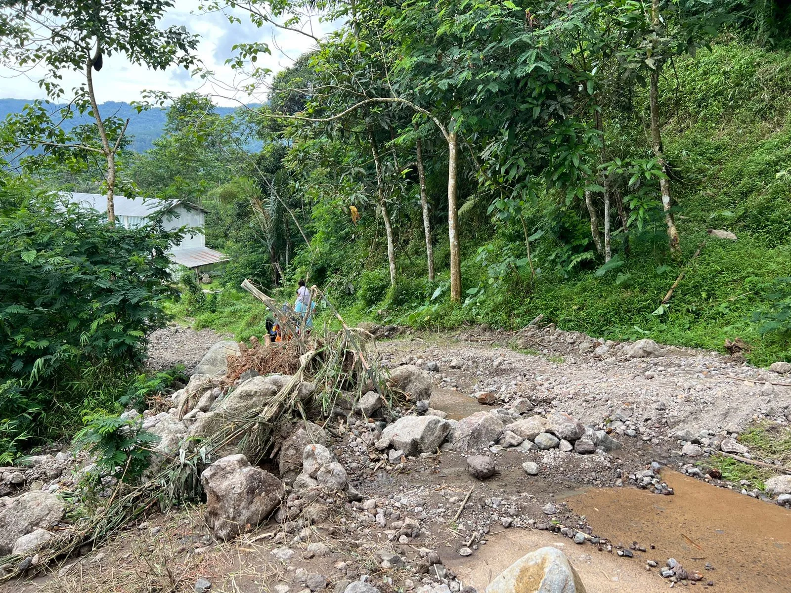 Longsor dan Pergerakan Tanah Lumpuhkan Akses ke Curug Ngebul dan Citambur