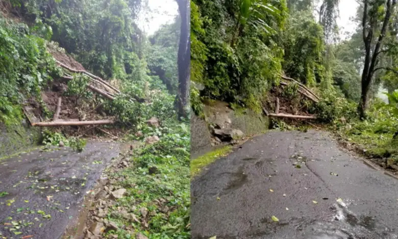 Longsor Tutup Jalan Penghubung Cibinong - Sindangbarang