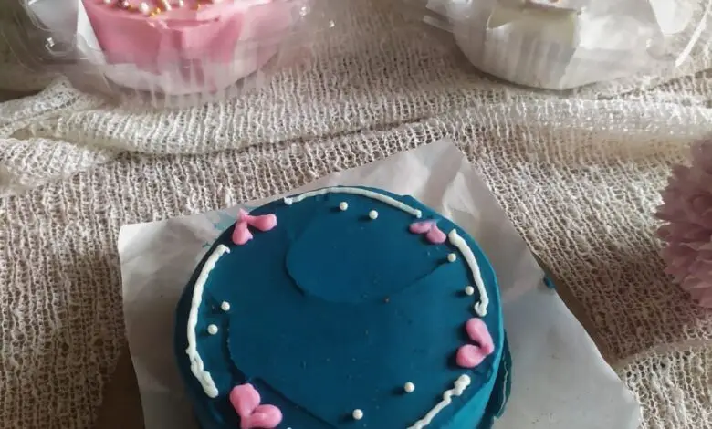 Lucunya Bento Cake! Kue Ultah Mini Kekinian Ala Kay Cake & Cookies Cianjur