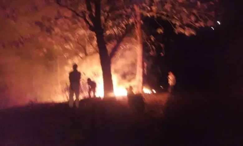 Malam-malam, Hutan di Pakuon dan Cikalongkulon Terbakar