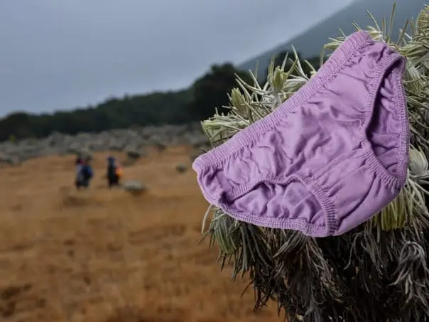 Marak Celana Dalam di Gunung Gede Pangrango, Ini Kata Humas TNGGP
