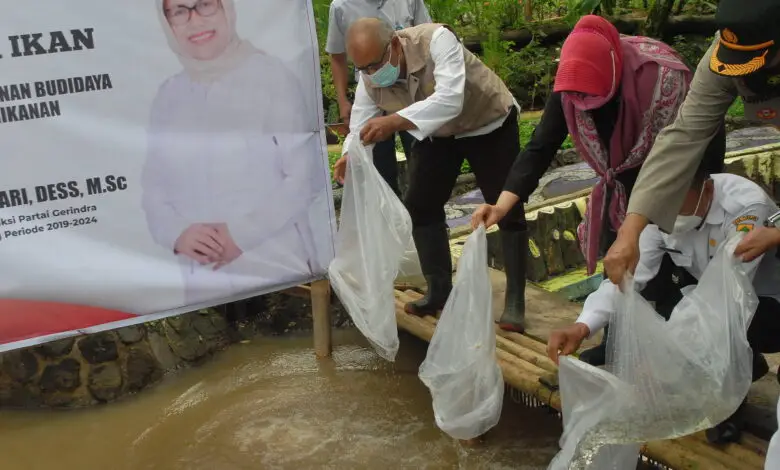 Mengintip 'Kampung Mandiri' di Desa Nagrak Cianjur, Pemberdayaan Potensi Alam Dalam Tangan Kreatif