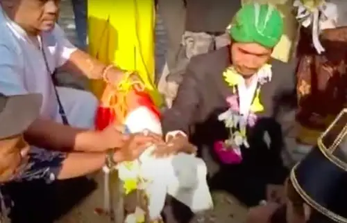 Menikah Dengan Kambing Demi Konten Tiktok