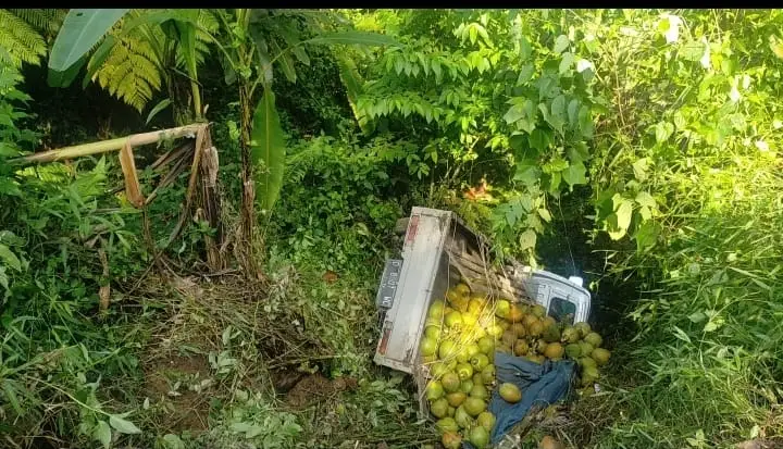 Mobil Pikap Bermuatan Kelapa Masuk Jurang di Naringgul Cianjur