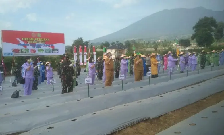 Nanny Hadi Tjahjanto dan Aster Panglima TNI Panen Tomat di Cianjur