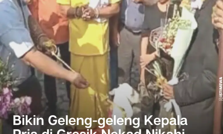 Geger, Pria Di Gresik Nekad Nikahi Kambing