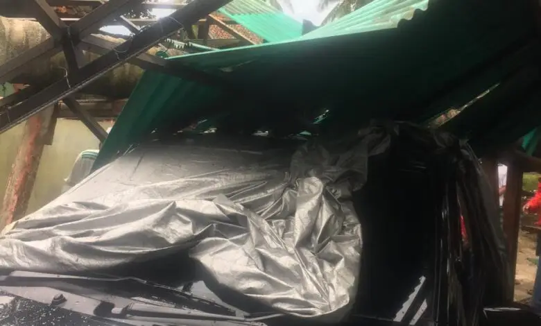 Pagi Panas Siang Gelap, Pohon Kelapa di Cianjur Tumbang Menimpa Rumah dan Mobil