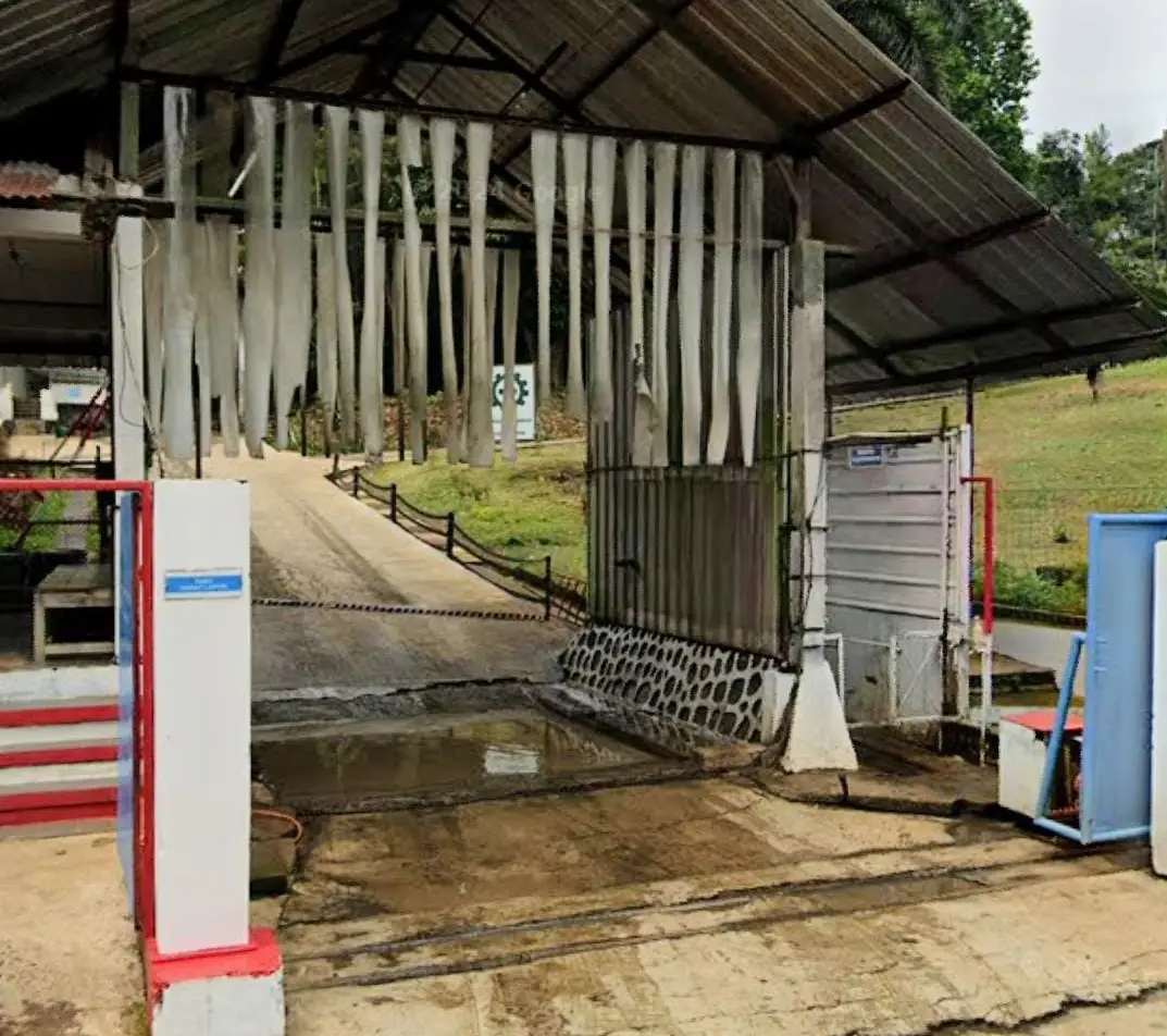 Parah! Puluhan Tahun Berdiri, PT Manggis Proyek Ayam di Jamali Diduga Tak Pernah Salurkan CSR ke Warga?