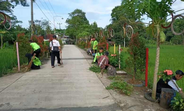 Patriot Desa Bojongkasih Kadupandak Kembangkan Potensi Toga yang Memiliki Nilai Ekonomi Tinggi