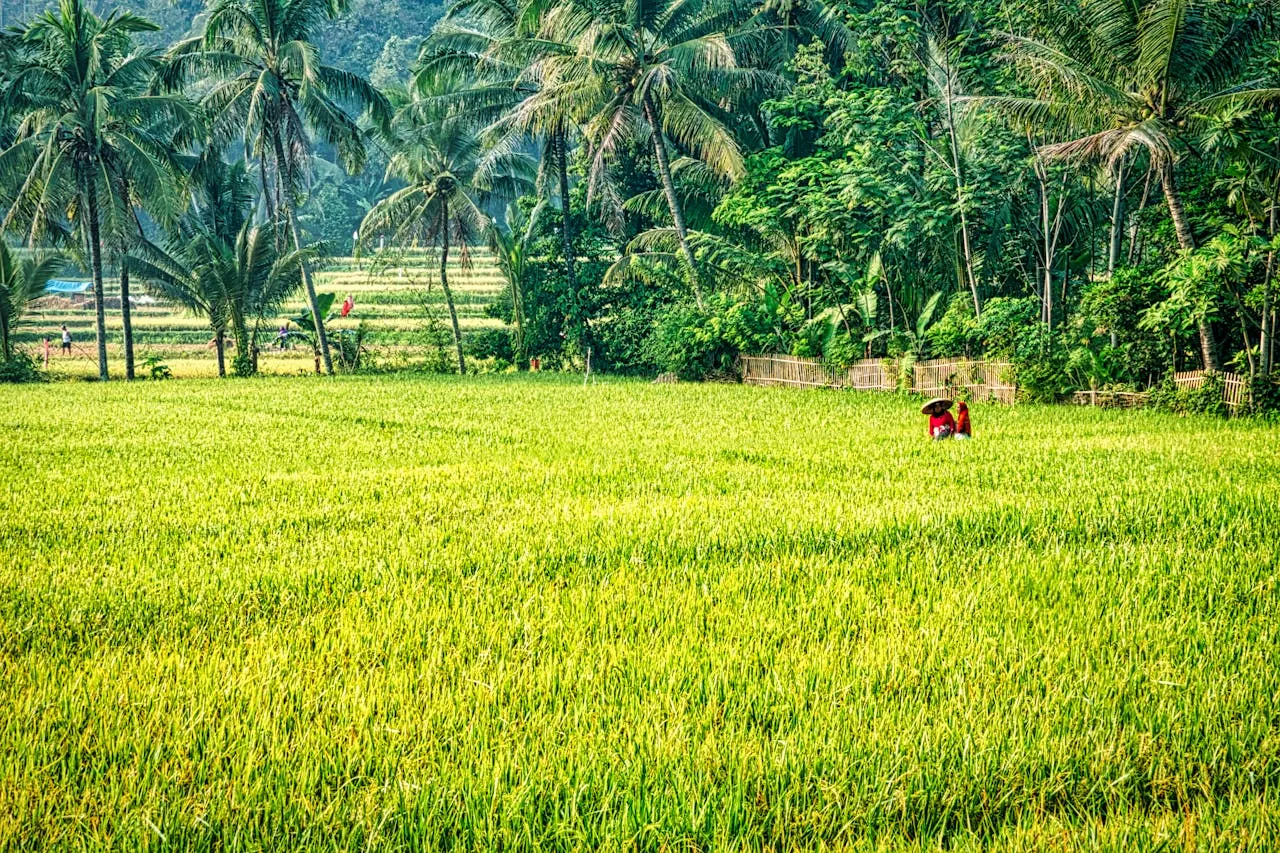 Pemkab Ajak Warga Tanam Kebutuhan di Pekarangan, Pakar Pertanian Beri Pandangan Berbeda Soal Ketahanan Pangan