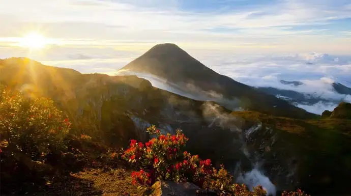 Pendaki Gunung Gede Sampai 600 Orang per Hari