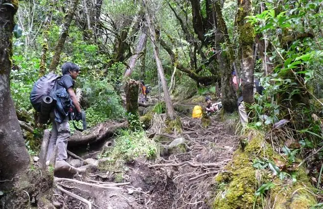 Pendaki Ilegal Gunung Gede Pangarango Akan Ditindak Tegas!