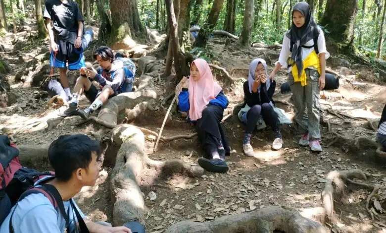 Pendakian Gede-Pangrango Ditutup Sementara, Catat Tanggalnya!