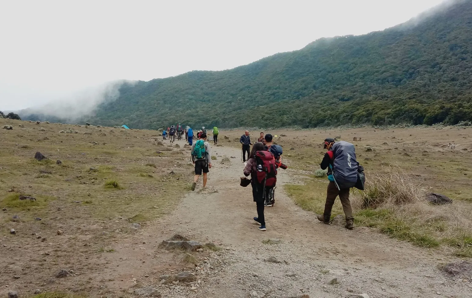 Pendakian Gunung Gede Pangrango Kembali Ditutup Hingga 21 April 2025 Akibat Aktivitas Seismik
