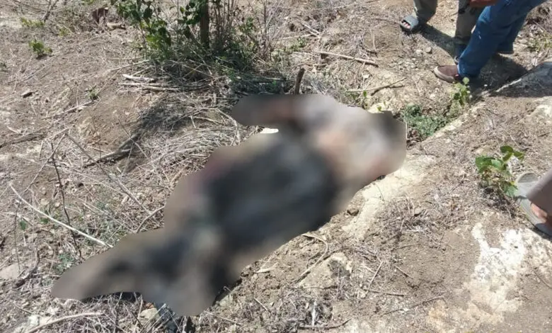 Penemuan Mayat di Sindangbarang, Diduga Jatuh dari Tebing