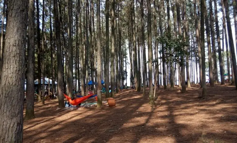 Pengunjung Wisata Pokland Cianjur Turun 60 Persen