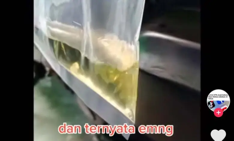 Pertalite Dikeluhkan Masyarakat Jadi Lebih Boros, Ini Kata Pertamina