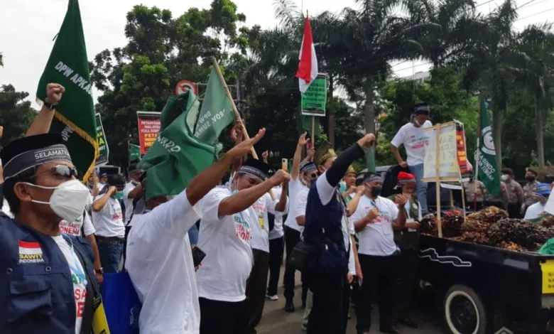 Petani Kelapa Sawit Demo di Istana Hari Ini, Minta Jokowi Tinjau Larangan Ekspor — Cianjur Update