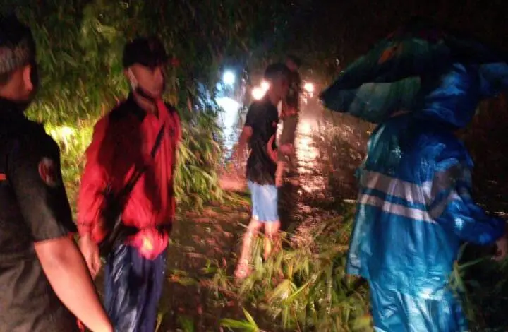 Pohon Bambu Tumbang di Cibeber, Jalan Macet hingga Lima Kilometer