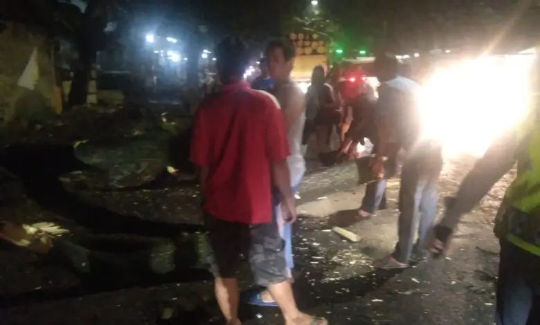 Pohon Besar di Jalan Cianjur - Bandung Tumbang, Imbas Proyek Drainase