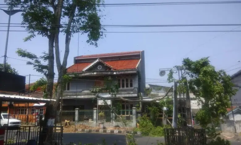 Pohon di Trotoar Cianjur Ditebang, Begini Jawaban Dinas PUPR