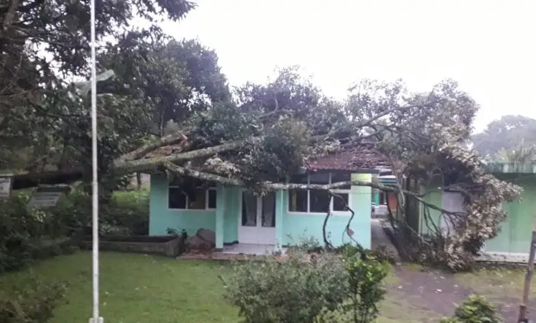 Pohon Durian Besar Ambruk, Atap Kantor KUA Sukaresmi Remuk