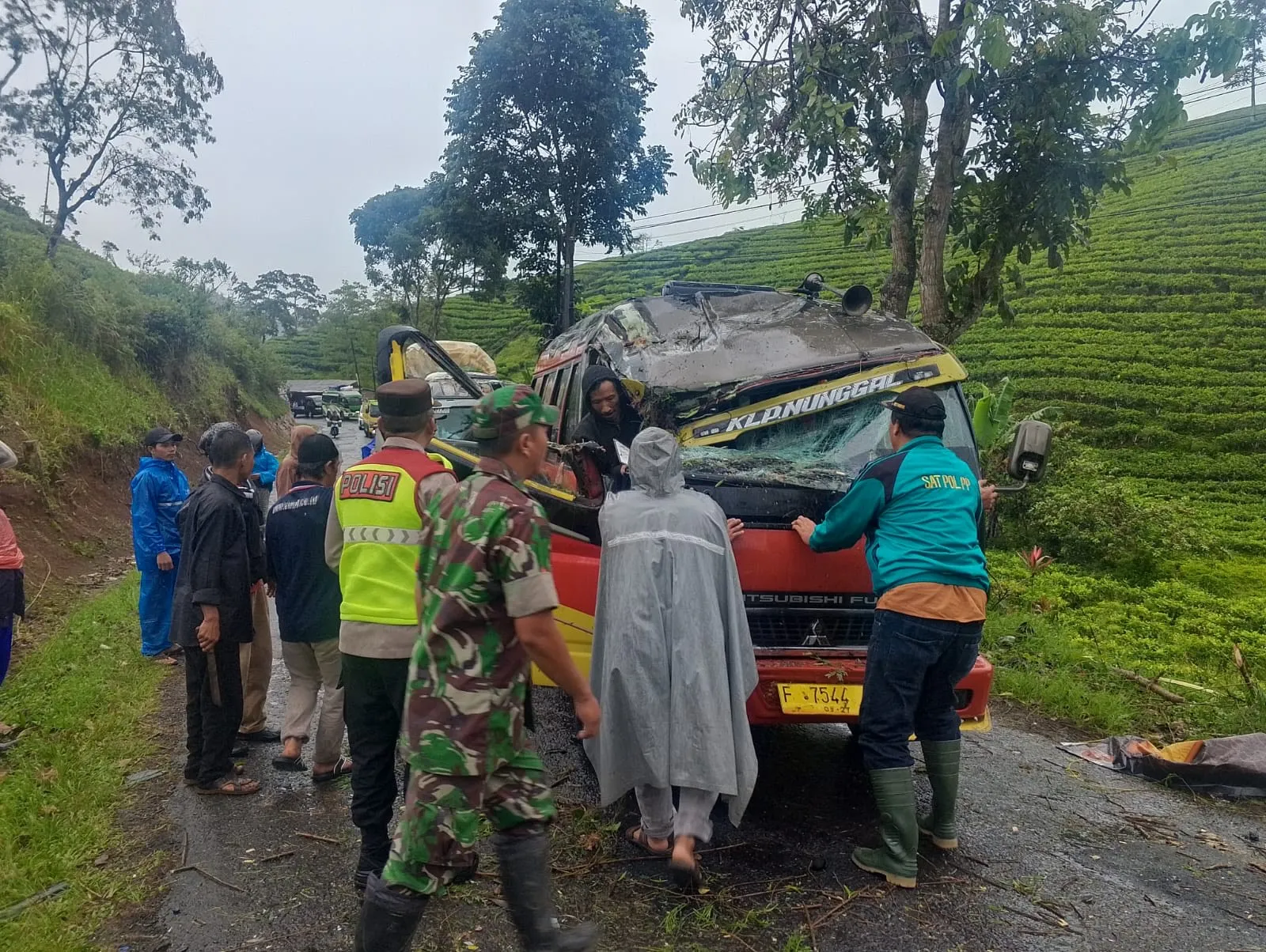 Pohon Tumbang Timpa Mobil Elf di Sukanagara, Sopir Luka, Penumpang Selamat