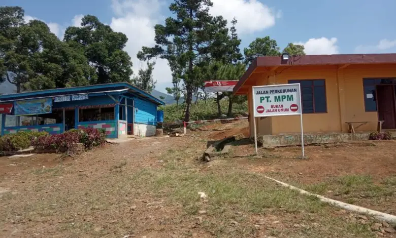 PT MPM Makin Giat Menata Perkebunan