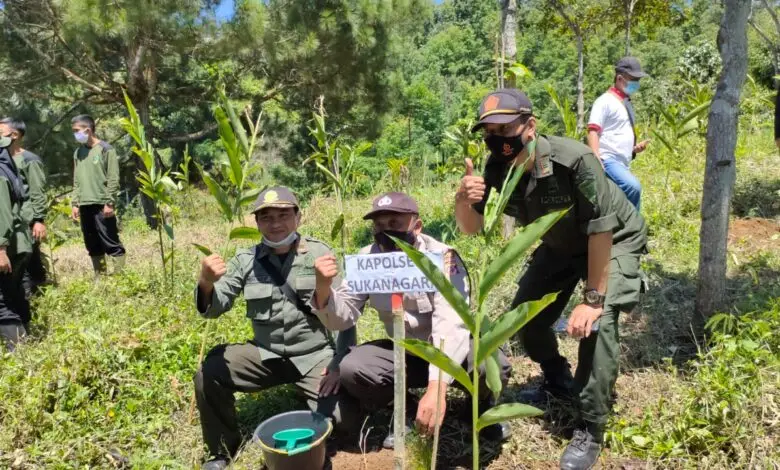 PWI dan Perhutani Cianjur Tanam Ribuan Pohon di Sukanagara