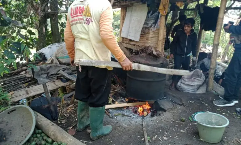 Ramadan, Seperti Inilah Aktivitas Kampung Kolang-kaling di Cianjur