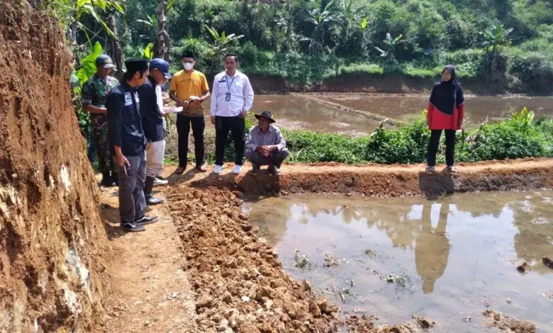 Relawan Perjuangan Demokrasi Sepakat Berdamai dengan Perusahaan Peternak Ayam Petelur