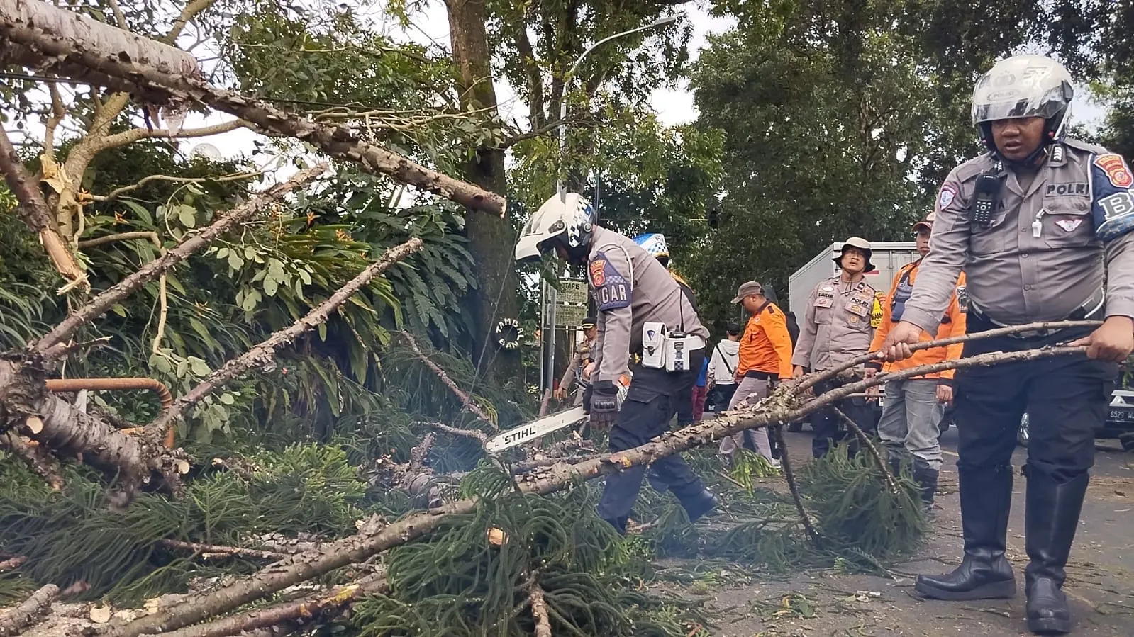 Satlantas Polres Cianjur Sigap Tangani Pohon Tumbang di Jalur Cipanas-Cianjur