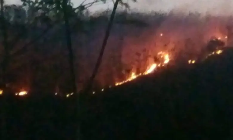 Satu Hektar Lahan Hutan Terbakar di Mande