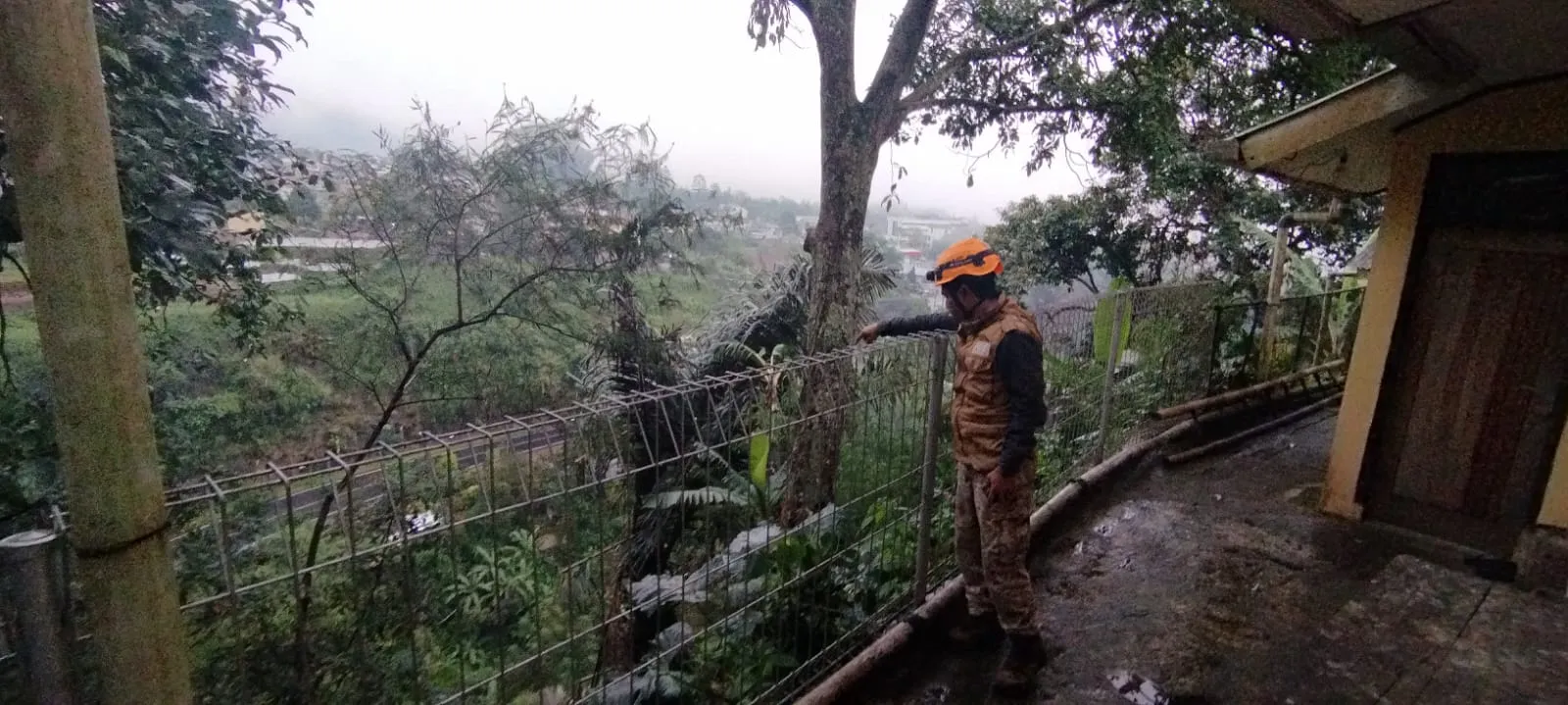 Tiga KK di Sindanglaya Diungsikan Pemdes Pasca Pohon Besar Tumbang di Tebing Lembah Koi