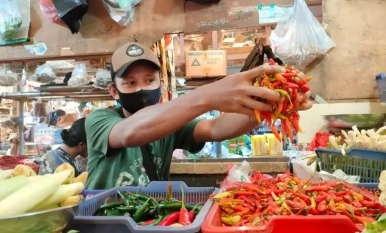 Selain Telur dan Daging Ayam, Harga Cabai juga Melambung Tinggi