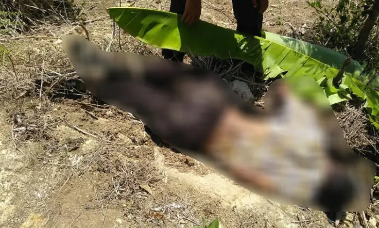 Sesosok Mayat Pria Ditemukan di Sindangbarang